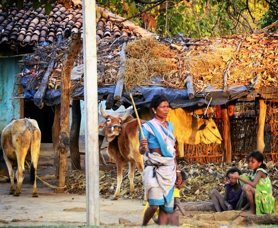 Madhya Pradesh
